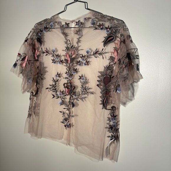 Zara Sheer Tulle Emroidered Blouse - Picture 6 of 14